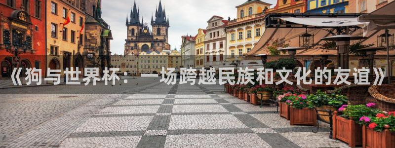 2026世界杯南美区积分榜:《狗与世界杯:一场跨越民族和文化的友谊》
