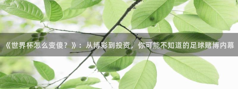 女足世界杯赛程:《世界杯怎么变傻?》:从博彩到投资,你可能不知道的足球赌博内幕