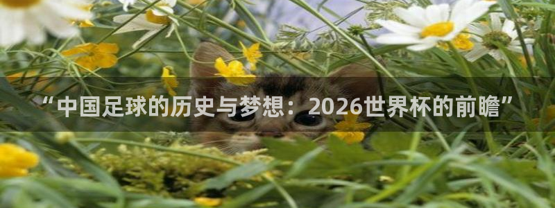 英格兰联赛杯直播:“中国足球的历史与梦想:2026世界杯的前瞻”